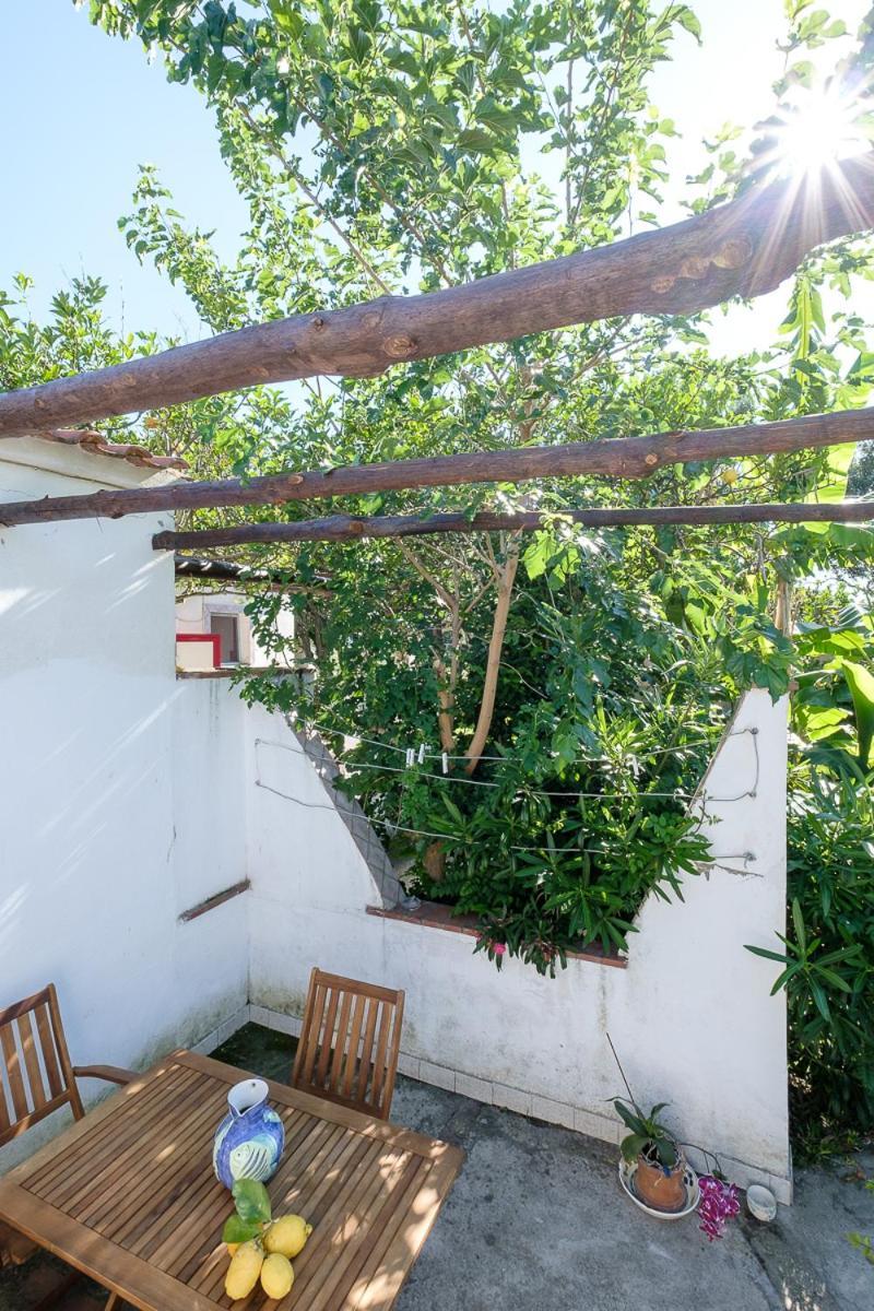 La Rosa Dei Venti Aparthotel Procida Exterior photo